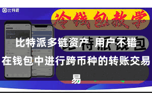 比特派多链资产 用户不错在钱包中进行跨币种的转账交易