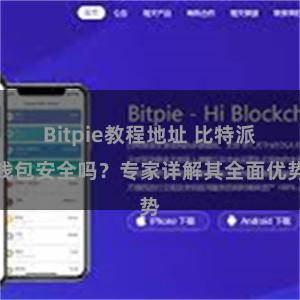 Bitpie教程地址 比特派钱包安全吗？专家详解其全面优势