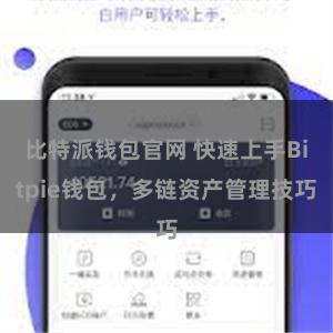 比特派钱包官网 快速上手Bitpie钱包，多链资产管理技巧