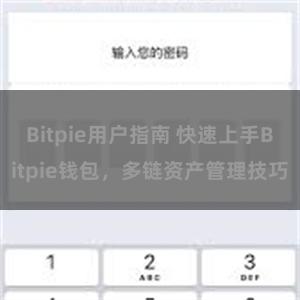 Bitpie用户指南 快速上手Bitpie钱包，多链资产管理技巧