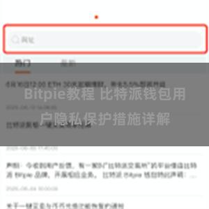 Bitpie教程 比特派钱包用户隐私保护措施详解