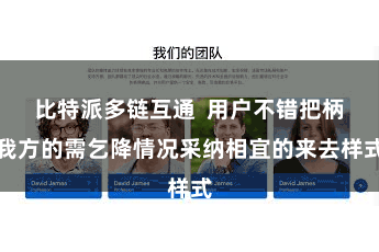 比特派多链互通  用户不错把柄我方的需乞降情况采纳相宜的来去样式