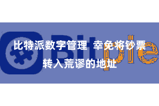 比特派数字管理  幸免将钞票转入荒谬的地址