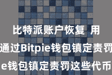 比特派账户恢复  用户不错通过Bitpie钱包镇定责罚这些代币